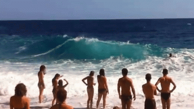 Secret Konavle: Pasjača Beach 19 Pasjaca beach in Konavle