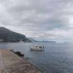 Divers Search For Missing Tourist Philipp Hochhuth In Old Harbour 8 Divers Search For Missing Tourist Philipp Hochhuth In Old Harbour