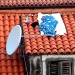 How To Cope With Summer Nights 2 Roof Bed 3