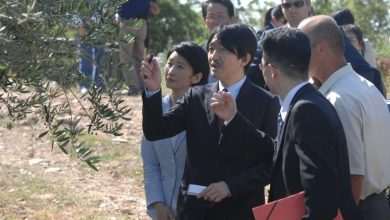 Japanese Prince Akishino thrilled with olives from Konavle 49 Japanese Prince Akishino visits Konavle