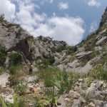 'Fairies' Cave' near the Ombla river in Dubrovnik