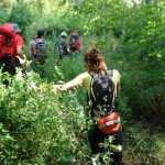 'Fairies' Cave' near the Ombla river in Dubrovnik