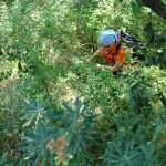 'Fairies' Cave' near the Ombla river in Dubrovnik