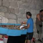 Noc Porporele Photo Gallery 31 Noc Porporele 38