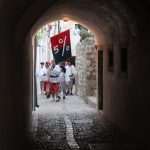 Noc Porporele Photo Gallery 4 Noc Porporele 5