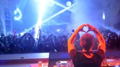 Fedde Le Grand Revelin 4