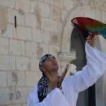 35 Degrees In The Shade! 11 Old Town Heat 11