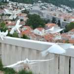 Game Of Thrones Newest 'Extras' Arrive On Set 7 GOT Doves 5