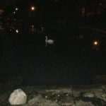 Dubrovnik Hit By Rain Storm 10 Dubrovnik storm 11