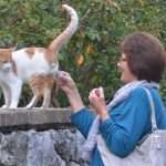 Dubrovnik in autumn is cheerful and optimistic 2 Autumn sun 17