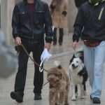 November Rain Reaches Dubrovnik 3 November Rain Stradun 4