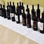 Plavac Mali In Strasbourg 3