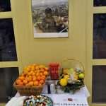 Plavac Mali In Strasbourg 4