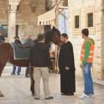 Photo Gallery: Borgia Filming In Dubrovnik 14 Borgia Dubrovnik 13