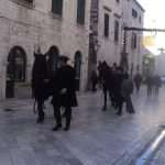 Horses Return To Dubrovnik's Old Town 3 Borgia Dubrovnik Filming 4