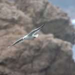 Southerly Jugo Wind Hits Dubrovnik 17 January rain 18