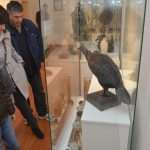 Dubrovnik's Night At The Museum 14 Natural History Museum 1