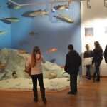 Dubrovnik's Night At The Museum 16 Natural History Museum 4