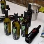 Wine and Orange Festival 15