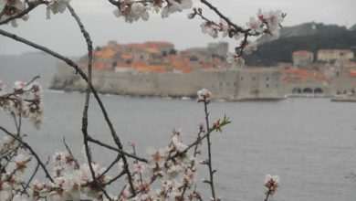 Dubrovnik in top ten spring destinations