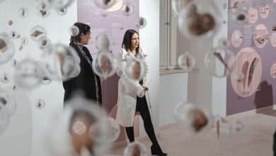 Sound of the Sea Exhibition Opens 5 Sounds of the Sea 4