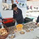 Ston Oyster Day Attracts Japanese Tourists 1 Ston Oyster Day