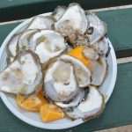 Ston Oyster Day Attracts Japanese Tourists 9 Ston Oyster Day
