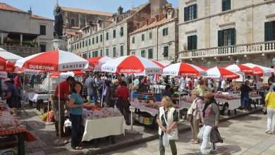 Spring Sunshine In Dubrovnik 1 green market