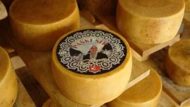 Paski sir, Glirora.com