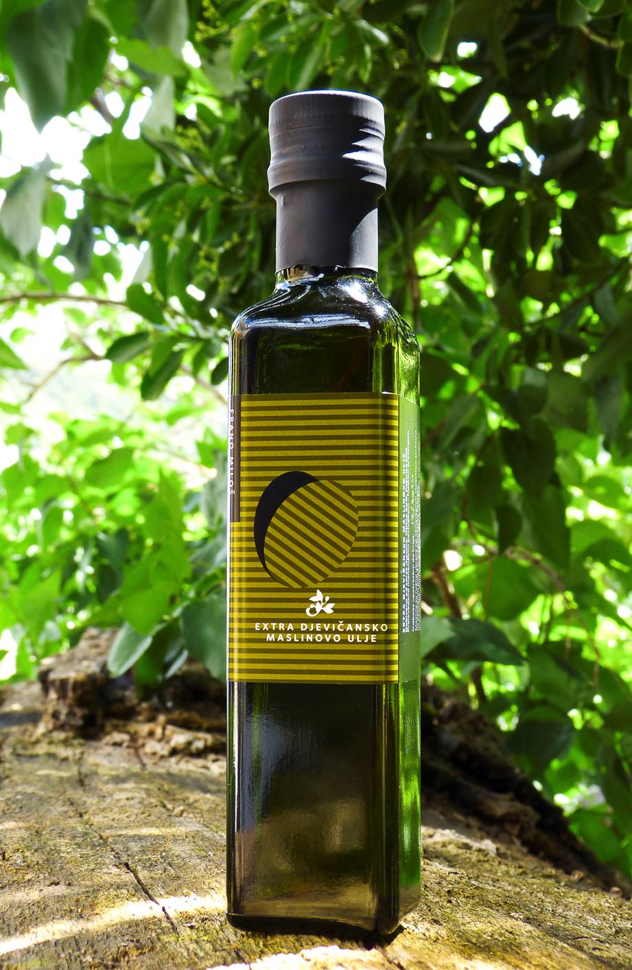 Olive Oil From Peljesac Won A Gold Medal On A Competition In New York ...