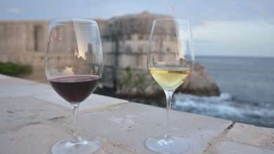 Documentary about wines announced a start of Dubrovnik FestiWine 1 FestiWine 2014