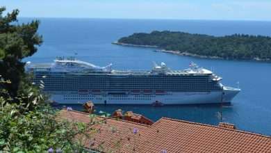 Mega cruiser Dubrovnik