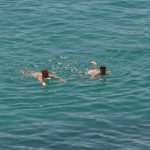Opening of the Dubrovnik bathing season! 7 Beach Dubrovnik 2014