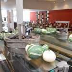 Photo Gallery: Hotel Kolocep in a completely new light 10 karisma-kalamota (1)