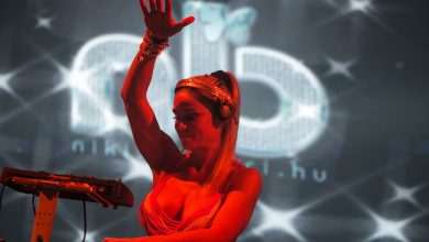 Sexy and extravagant party by DJ Nikki Belucci 3 Nikki Belucci