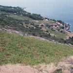 Croatian vineyards joined the list of the best in the world! 3 Dingac