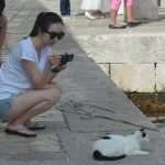 Photo Gallery: The Old Town was filled with visitors! 22 Stradun