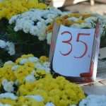 All Saints' Day in Dubrovnik 22 All Saints