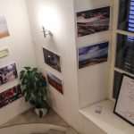 One Hundred Years of Marguerite Duras 4 marguerite-duras-dkd-2014-4705