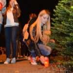 Vukovar in Dubrovnik