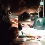 Children enjoyed 'The night of cave animals' at Aquarium 8 Children workshops in Aquarium