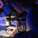 Children enjoyed 'The night of cave animals' at Aquarium 4 Children workshops in Aquarium