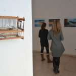 Dubrovnik helps abandoned animals 9 Exhibition animals