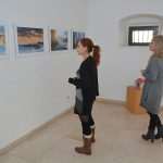 Dubrovnik helps abandoned animals 8 Exhibition animals