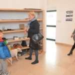 Dubrovnik helps abandoned animals 7 Exhibition animals