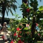 Cavtat - the hidden jewel near Dubrovnik 15 cavtat17
