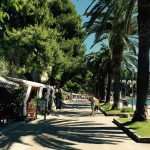 Cavtat - the hidden jewel near Dubrovnik 9 cavtat9
