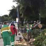 The white fluffy surprise in Dubrovnik 27 storm