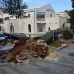 The white fluffy surprise in Dubrovnik 23 storm