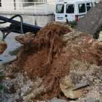 The white fluffy surprise in Dubrovnik 24 storm